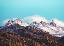 开云线上入口-从《棋士》到《胜负》，围棋不再是道具